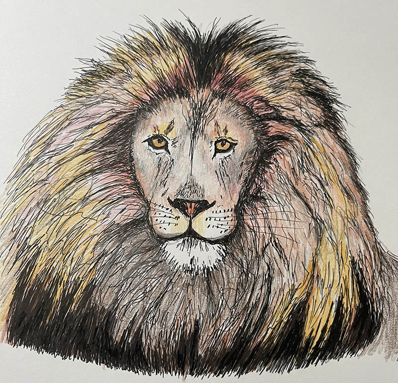 Lion